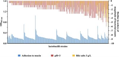 Screening for probiotic properties and potential immunogenic effects of lactobacilli strains isolated from various food products